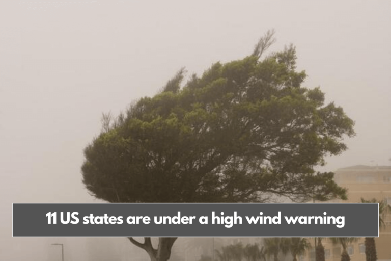 11 US states are under a high wind warning