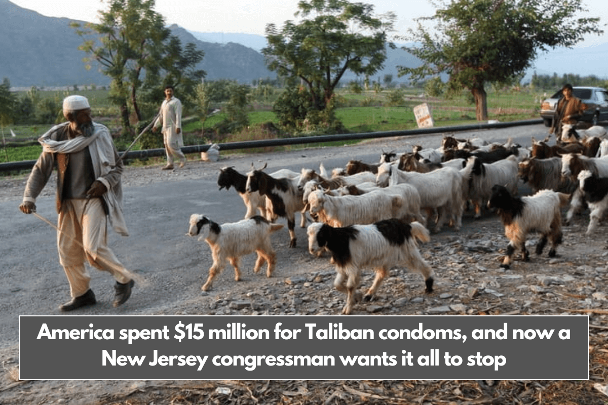 America spent $15 million for Taliban condoms, and now a New Jersey congressman wants it all to stop