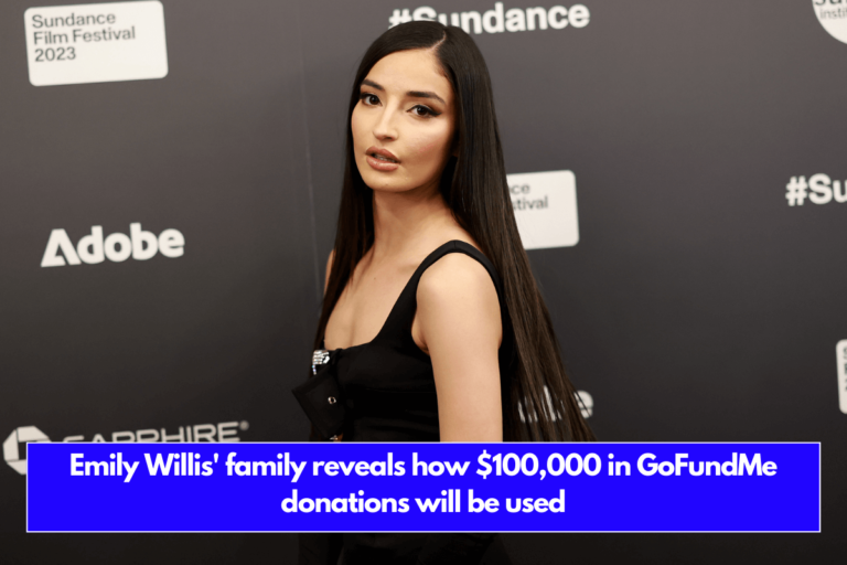 Emily Willis' family reveals how $100,000 in GoFundMe donations will be used