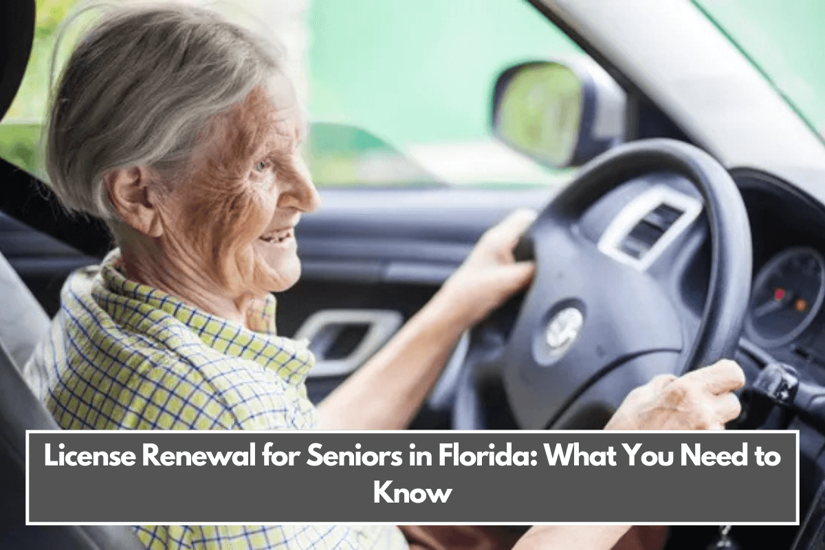 License Renewal for Seniors in Florida What You Need to Know