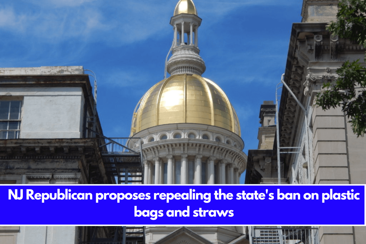 NJ Republican proposes repealing the state's ban on plastic bags and straws